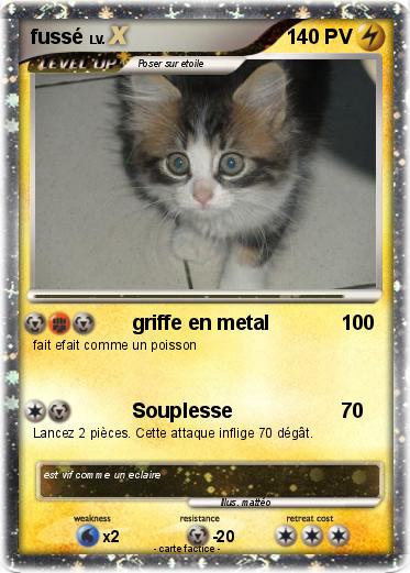 Pokemon fussé