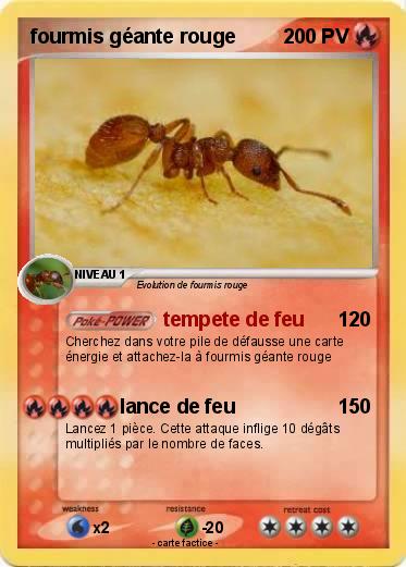 Pokemon fourmis géante rouge