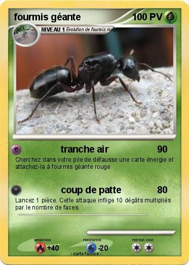 Pokemon fourmis géante