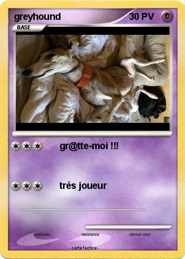Pokemon greyhound