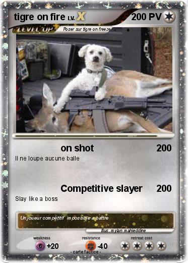 Pokemon tigre on fire