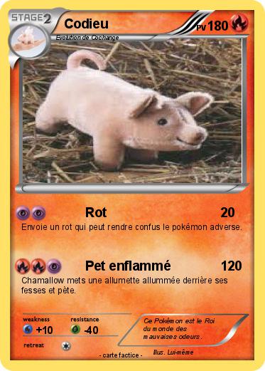 Pokemon Codieu
