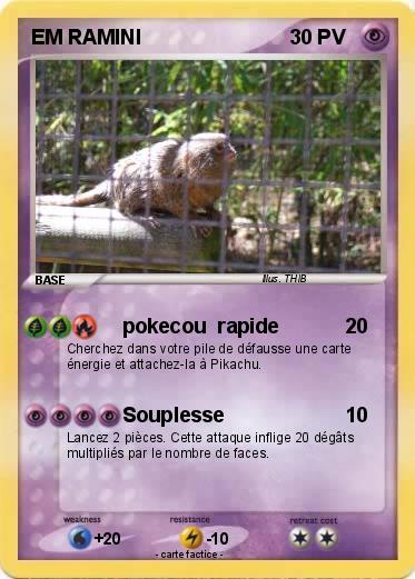 Pokemon EM RAMINI