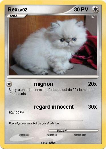 Pokemon Rex