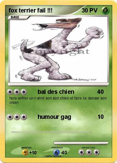 Pokemon fox terrier fail !!!