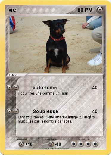 Pokemon vic 