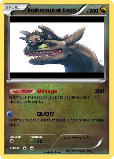 Pokemon krokmoue et tiago