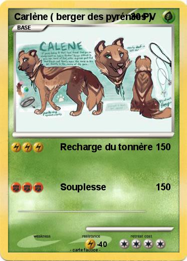 Pokemon Carlène ( berger des pyrénées )
