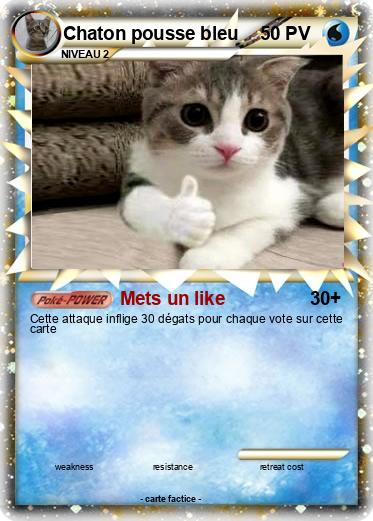 Pokemon Chaton pousse bleu