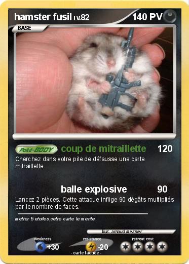 Pokemon hamster fusil