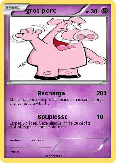 Pokemon gros porc