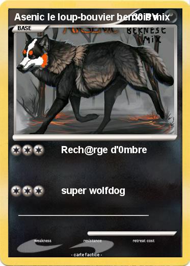 Pokemon Asenic le loup-bouvier bernois mix