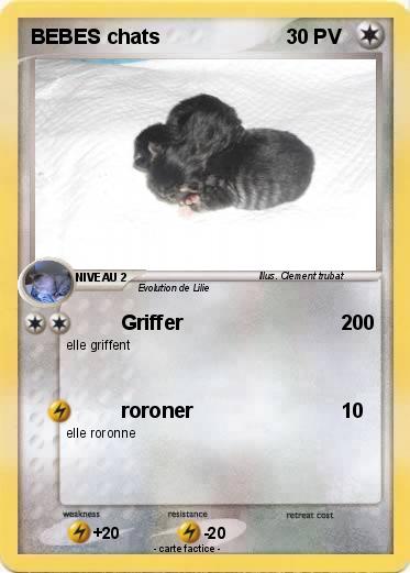Pokemon BEBES chats