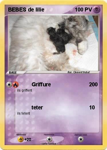 Pokemon BEBES de lilie