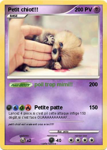 Pokemon Petit chiot!!!