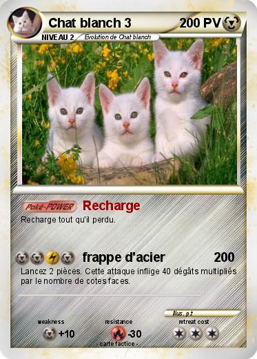Pokemon Chat blanch 3
