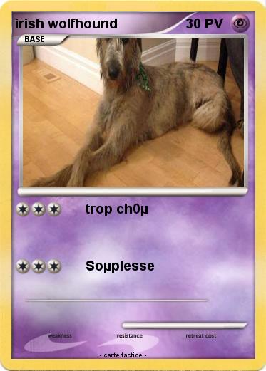 Pokemon irish wolfhound