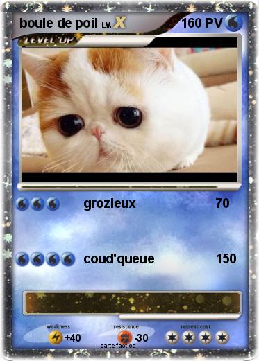 Pokemon boule de poil