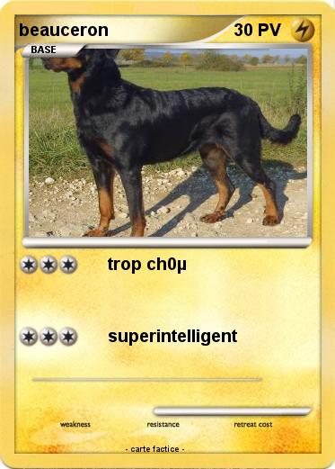 Pokemon beauceron
