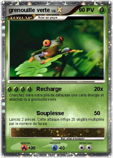 Pokemon grenouille verte
