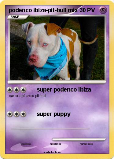 Pokemon podenco ibiza-pit-bull mix