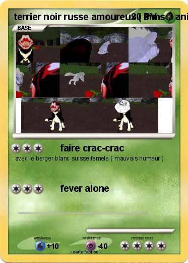 Pokemon terrier noir russe amoureux ( sims 3 animaux & cie  )