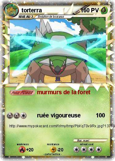 Pokemon torterra