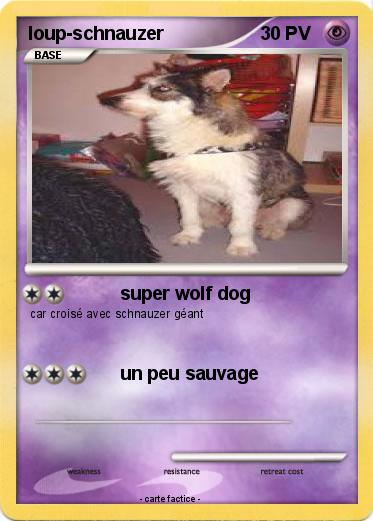 Pokemon loup-schnauzer