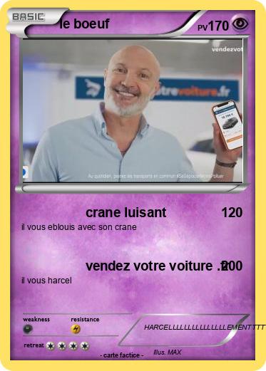 Pokemon le boeuf
