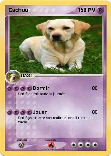 Pokemon Cachou