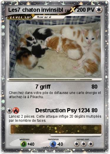 Pokemon Les7 chaton invinsibl
