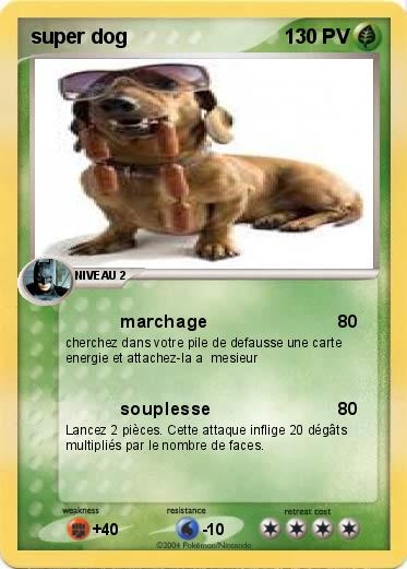 Pokemon super dog