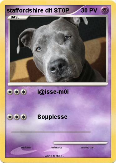 Pokemon staffordshire dit ST0P