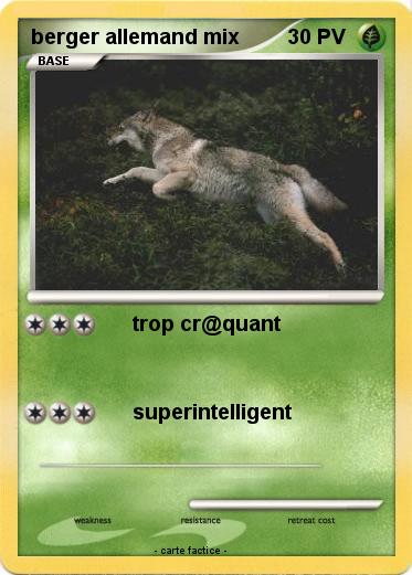 Pokemon berger allemand mix
