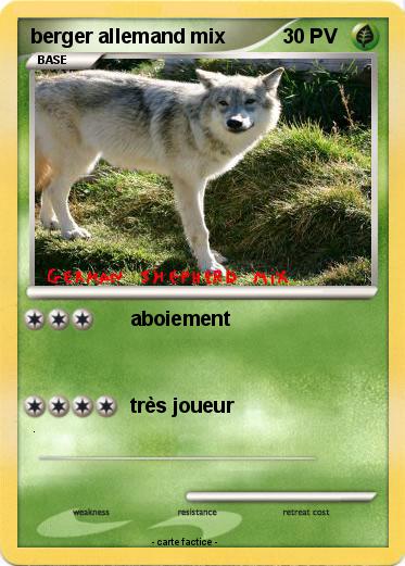 Pokemon berger allemand mix