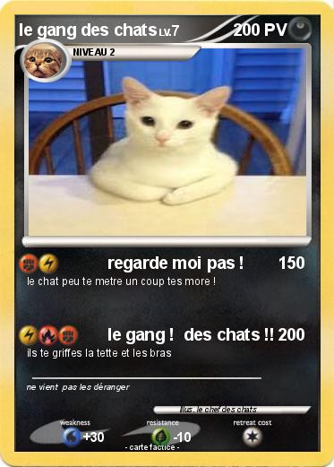 Pokemon le gang des chats