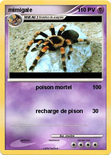 Pokemon mimigale
