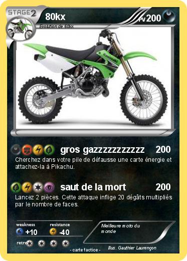 Pokemon 80kx