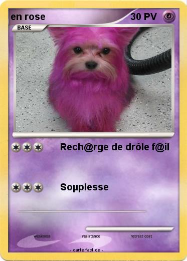 Pokemon en rose