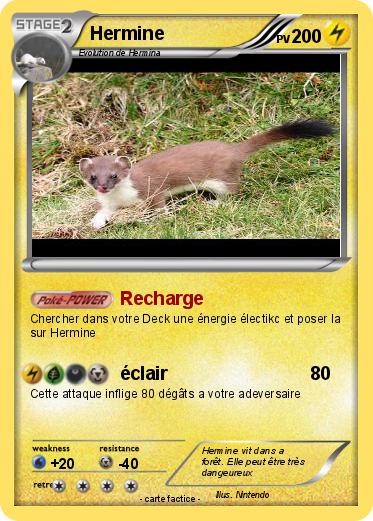 Pokemon Hermine