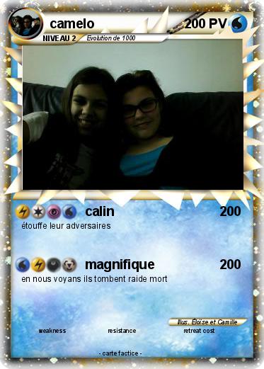 Pokemon camelo