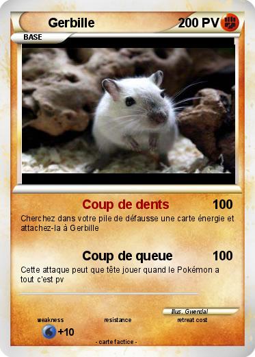 Pokemon Gerbille