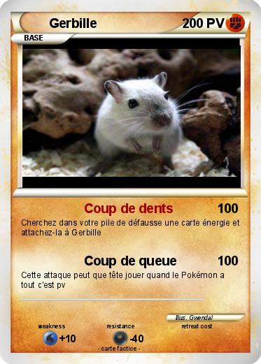 Pokemon Gerbille