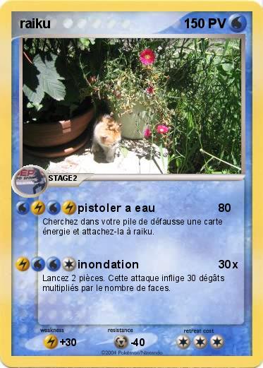 Pokemon raiku