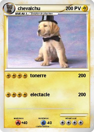 Pokemon chevalchu