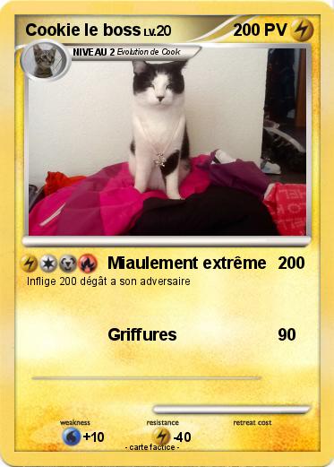 Pokemon Cookie le boss