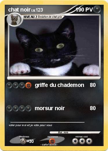 Pokemon chat noir