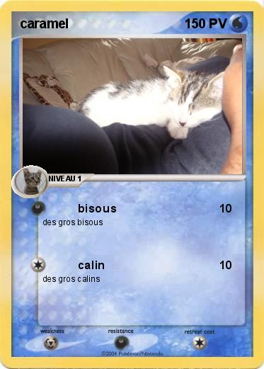 Pokemon caramel