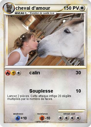Pokemon cheval d'amour