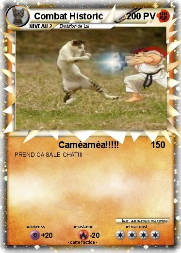 Pokemon Combat Historic